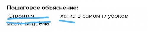 Летом бобры роют норы шириной около одного метра. Пол в норе покрывают сухой травой и стружкой. Ходы