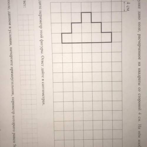 12 На рисунке дано поле, расчерченное на квадраты со стороной 4 см. На нём изображена фигура. 4 см 4