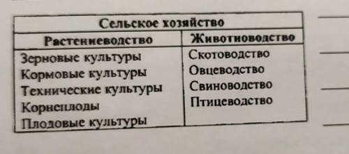 21. Напиши об отрасли сельского хозяйства, которая наиболее развита ВТвоёмрегионе. (Новосибирск)​