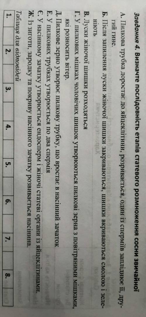 Визначте послідовність етапів статевого розмноження сосни звичайної​