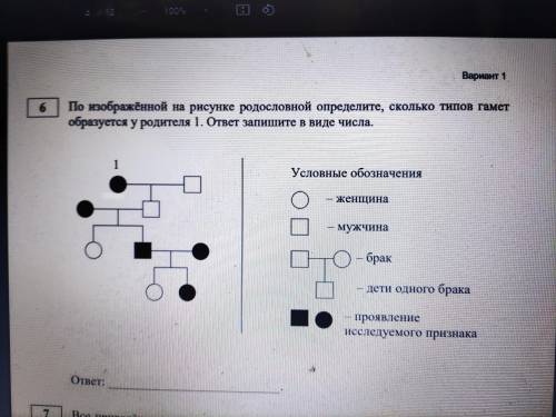 По изображению на рисунке родословной определите сколько типов гамет образуется у родителей 1