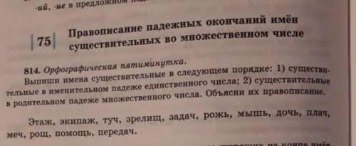 Орфографические пятиминутка выпеши имена существительные в следующем порядке 1) существительные в им