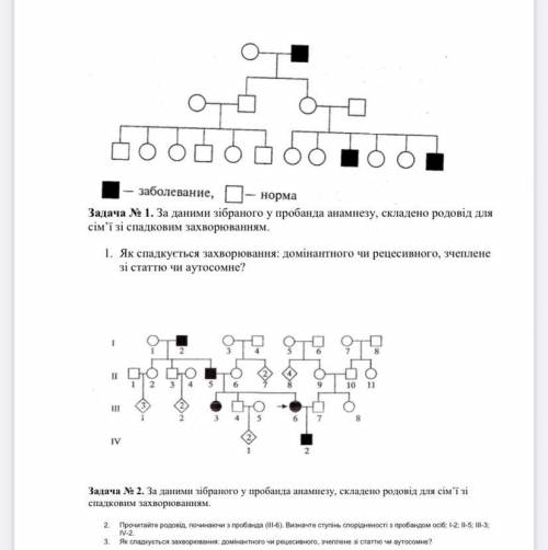 з задачами на генетику(на фото)