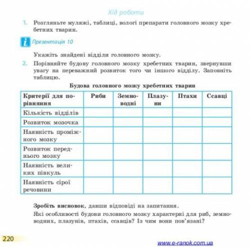 Практична роботу № 6 “Порівняння будови головного мозку хребетних тварин”