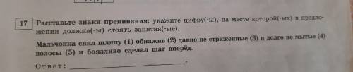 расставить знаки препинания и поясните почему они ставятся