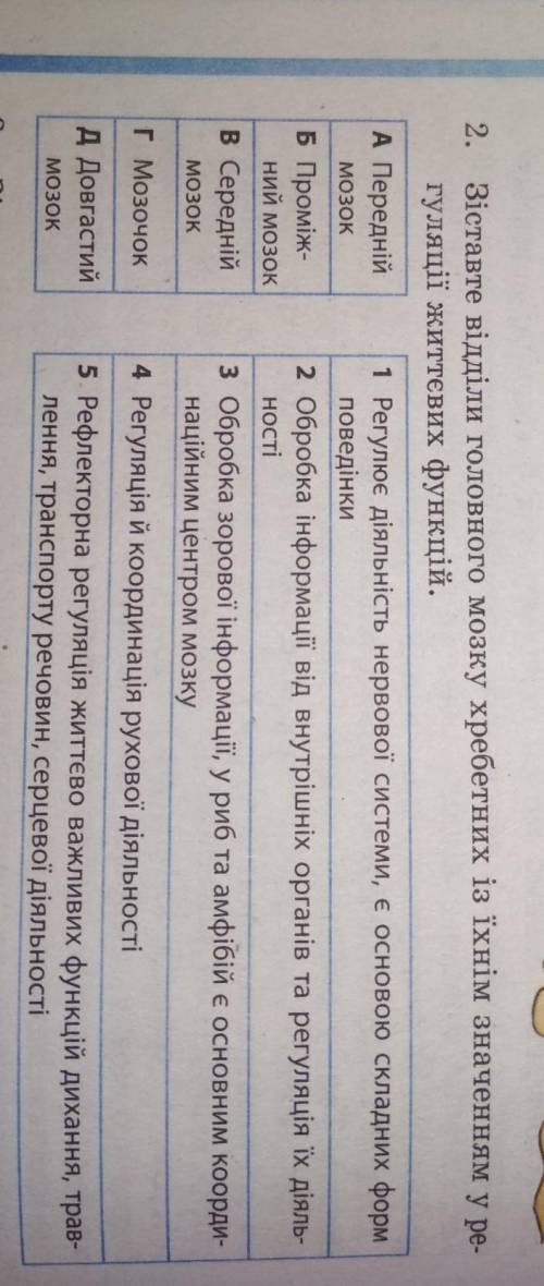 зіставте відділи головного мозку хребетних із їхнім значенням у регуляції життєвих функцій ​