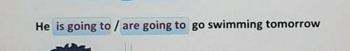 WHe is going to / are going to go swimming tomorrow​
