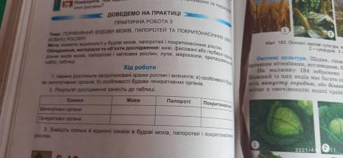 Заповнити таблицю Практична робота №3 Биология