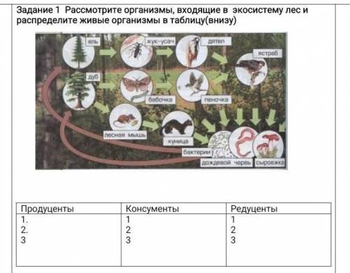 Задание 1 Рассмотрите организмы, входящие в экосистему лес и распределите живые организмы в таблицу(