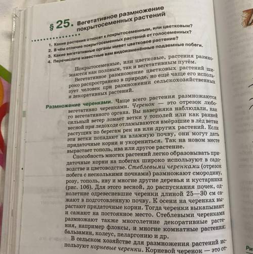 вегетативное размножение покрытосеменных растений конспект Учебник пасечника 6 класс биология Желат