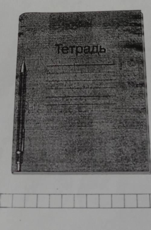 На рисунке изображенна ручка и тетрадь.Длинна ручки 145мм. Какая примерная длинна тетради? ответ дай