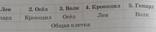 В результате ошибки работников зоопарка животные оказались не в своих клетках Работнику по уходу за