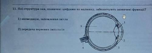 Які структури ока, позначені цифрами на малюнку, забезпечують зазначені функції?​