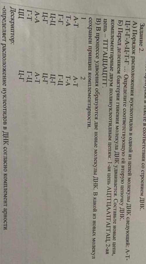 очень нужно серьезно заранее Задание 2. A) Порядок расположения нуклеотидов в одной из цепей молекул