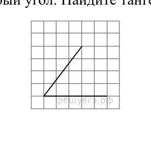 На клетчатой бумаге с размером клетки 1 × 1 изображен острый угол. Найдите тангенс этого угла.