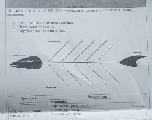 Используя стратегию «FISHBONE». Определите причины и последствия смены экосистем.1. Вытоптанное стад