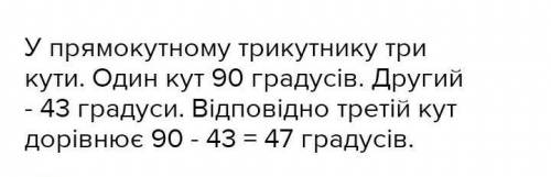 КОНТРОЛЬНАЯ Один з гострих кутів прямокутного трикутника дорівнює 43* градуси знайти другий гострий