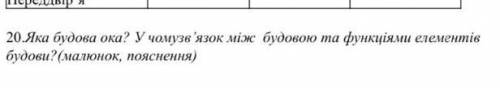 До іть будь ласка будову ока зробили а 2 питання іть ​