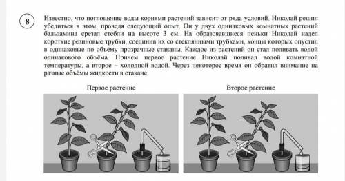 Почему Николай удалил часть стнбля с листьями у бальзамина?​