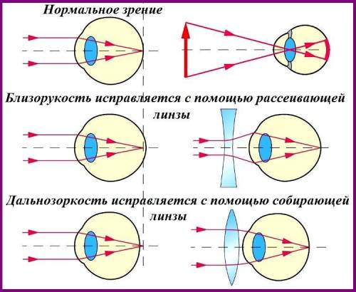 Доклад на тему оптические приборы по физике 8 класс