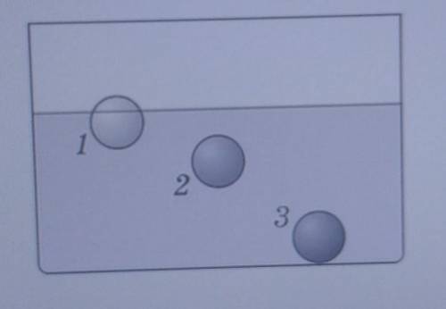 Опущенные в жидкость шарики одинакового объема расположились, как показано на рисунке. Сравните плот