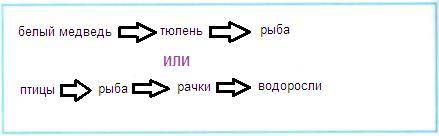 Составить схему цепи питания. ​