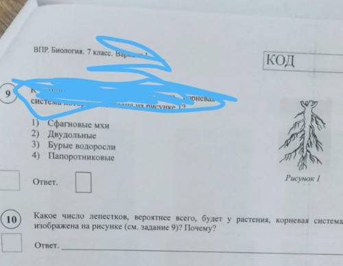 10 Какое число лепестков, вероятнее всего, будет у растения, корневая система которогоизображена на