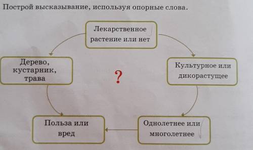 Построй высказывание, используя опорные слова.