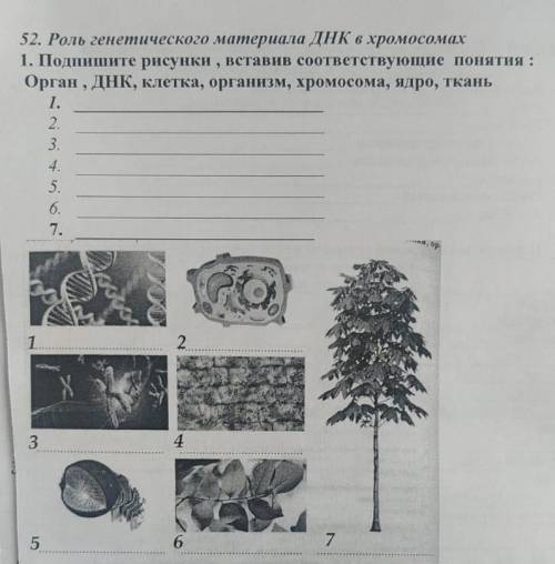 52. роль генетического материала днк в хромосомах 1. подпишите рисунки , вставив соответствующие пон