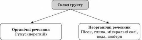 Три обязательных составляющих грунтов(три обов'язкових складників грунту)