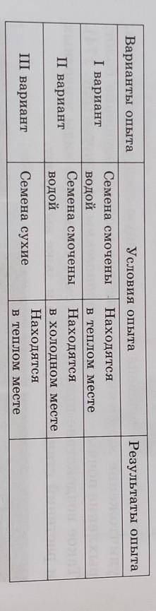 2. Опишите опыты, представьте, что будет с семенами и запишите свои представления в тетради в виде т