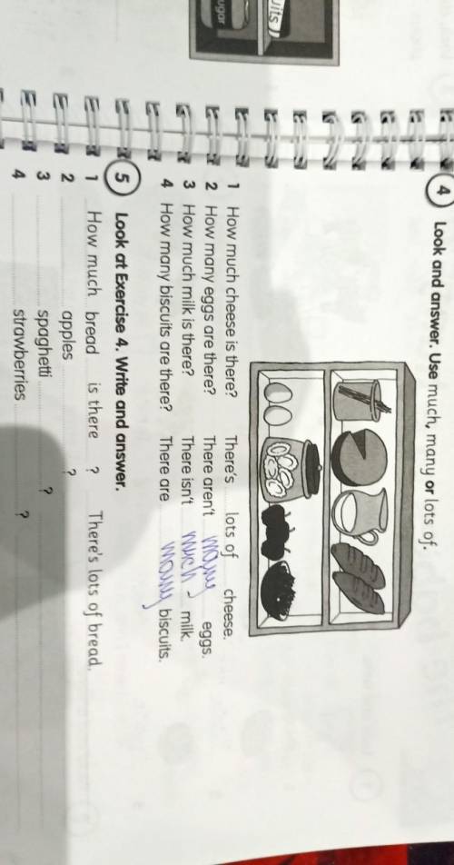 Look at Exercise 4. Write and answer. ❤️​