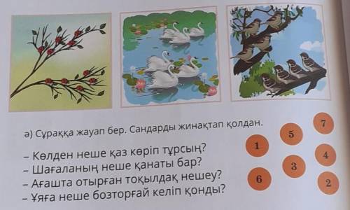 Ә) Cұраққа жауап бер. Сандарды жинақтап қолдан. – Көлден неше қаз көріп тұрсың?– Шағаланың неше қана