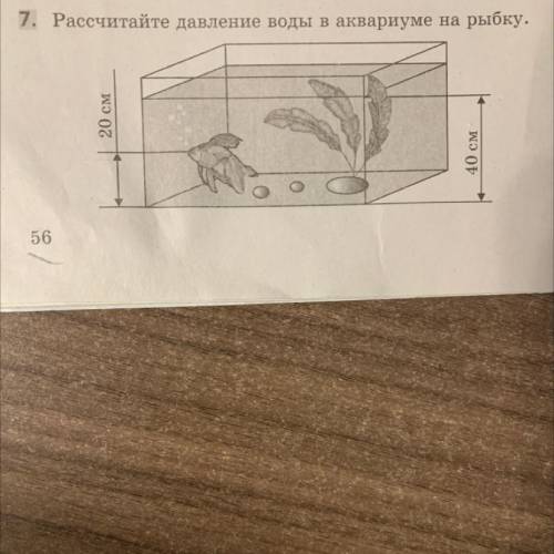 ￼￼Рассчитайте давление воды в аквариуме на рыбку (напишите с дано и решением)