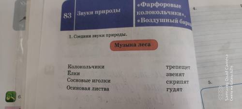 Соединить звуки природы колокольчики ёлки сосновые иголки Осиновая листва звенят скрипят гудят