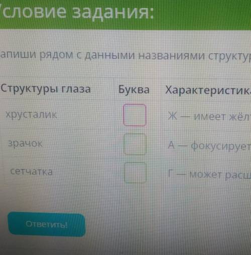 Запиши рядом, с данными названиями структур глаза буквы соответствующие их характеристикам. Структур