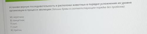 Установи верную последовательность и расположи животных в порядке усложнения их уровня организации в