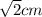 \sqrt{2} cm