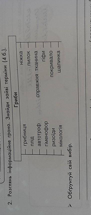 2. Розглянь інформаційне гроно. Знайди зайві терміни.Обгрунтуй свій вибір.​