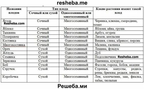 . Классификация плодов. Таблица. Название плода/Тип плода (сочный, сухой / односемянный, много распр