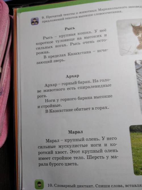 Прочитай тексты о животных Маркакольского заповедника. Из последних предложений текстов выпиши слово