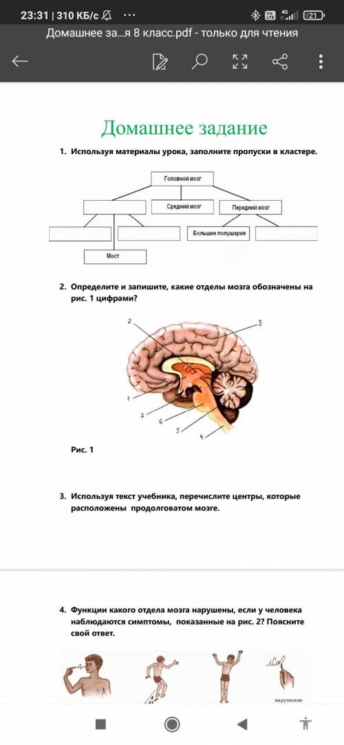 сделать дз по биологии