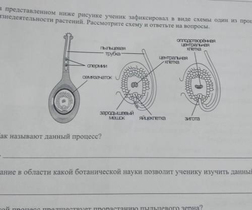 1.как называется процесс? 2.Знание в облости какойиботанической науки позволит ученику изучитьиданны