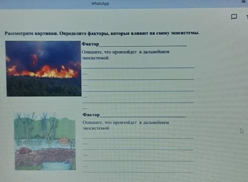 Рассмотрите картинки Определите факторы которые влияют на смену экосистем факты описанные Что произо