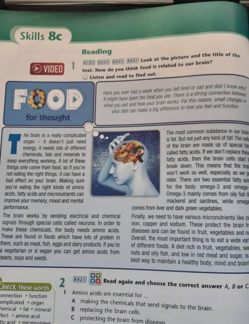 8.4.4.1 Look at the picture and the title of the text. How do you think food is related to our brain