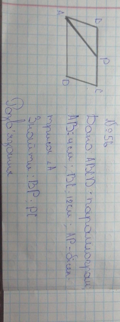У паралелограмі ABCD AB=4 см BC=12 см. Бісектриса кута A перетинає сторонк BC у точці P. Знайдіть на