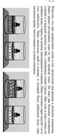 Известно, что при прорастании семян в них происходит внутренние и внешние изменения, Павел решил исс