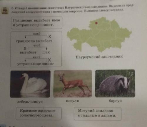 6. Отгадай по описано животных Наурзумского заповедника. Выдели из пред ложений словосочетании с воп