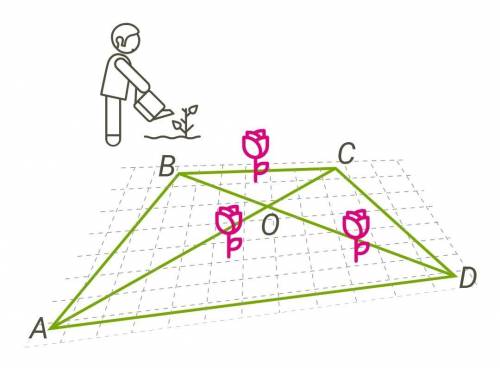 в парке при музее решили разбить клумбу в форме четырёхугольника. Две стороны этой клумбы (AD и BC),