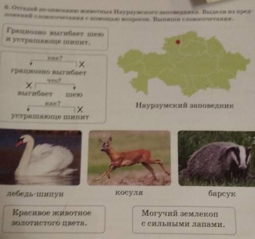 6. Отгадай по описанию животных Наурзумского заповедника. Выдели из пред- ложений словосочетания с в